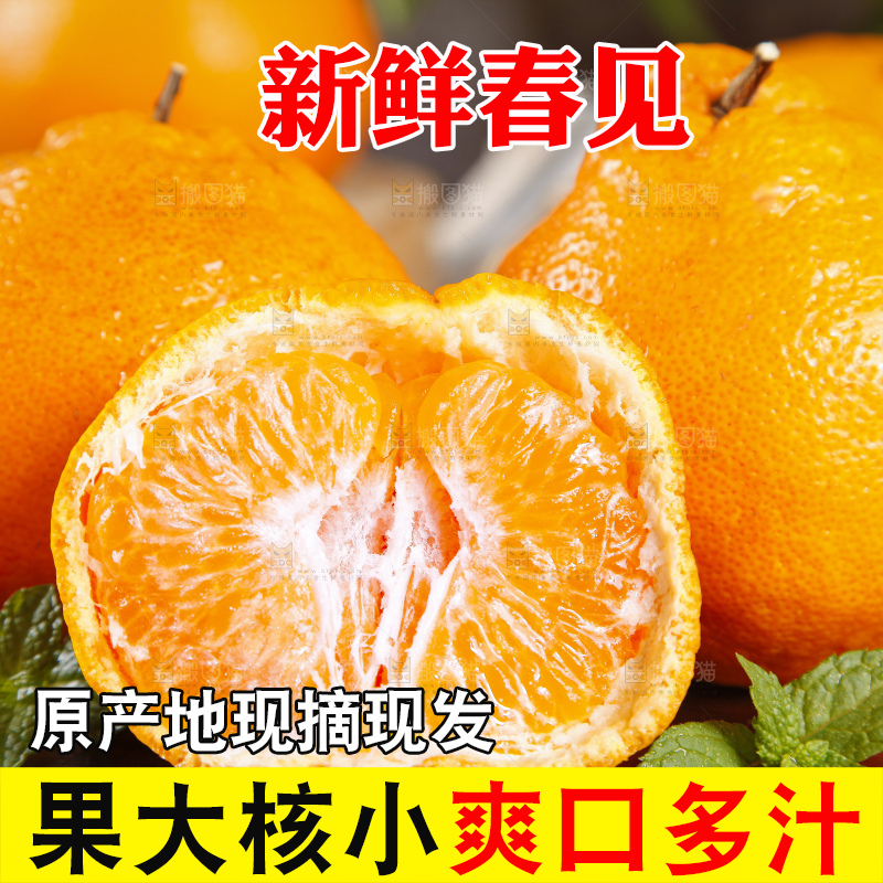 木板上的春见耙耙柑