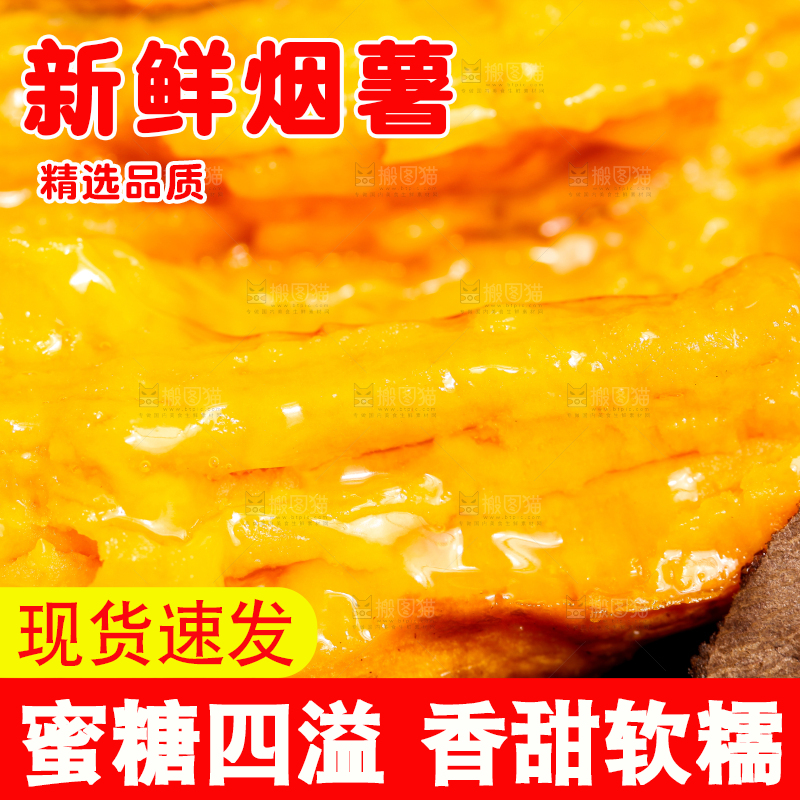 黑底上的山东烟薯