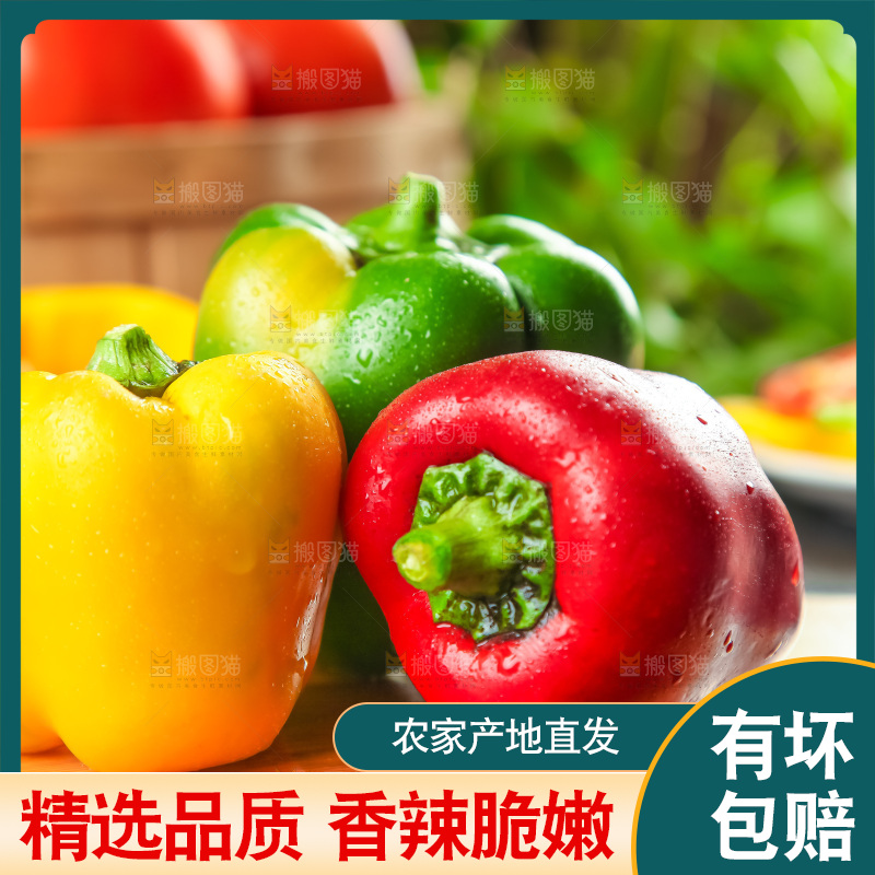 木板上的广西灯笼椒