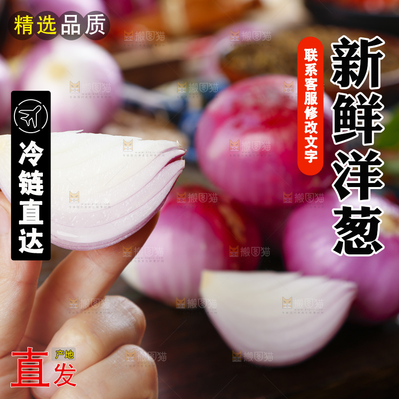 手里拿着新鲜洋葱