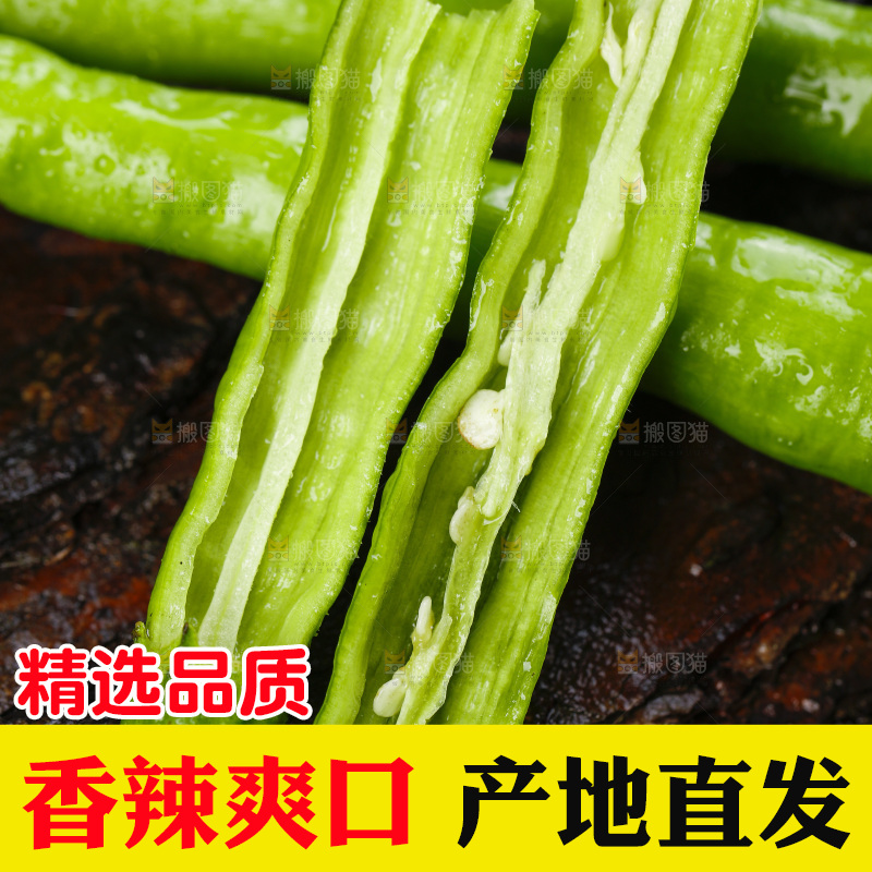 深底上的二荆条辣椒