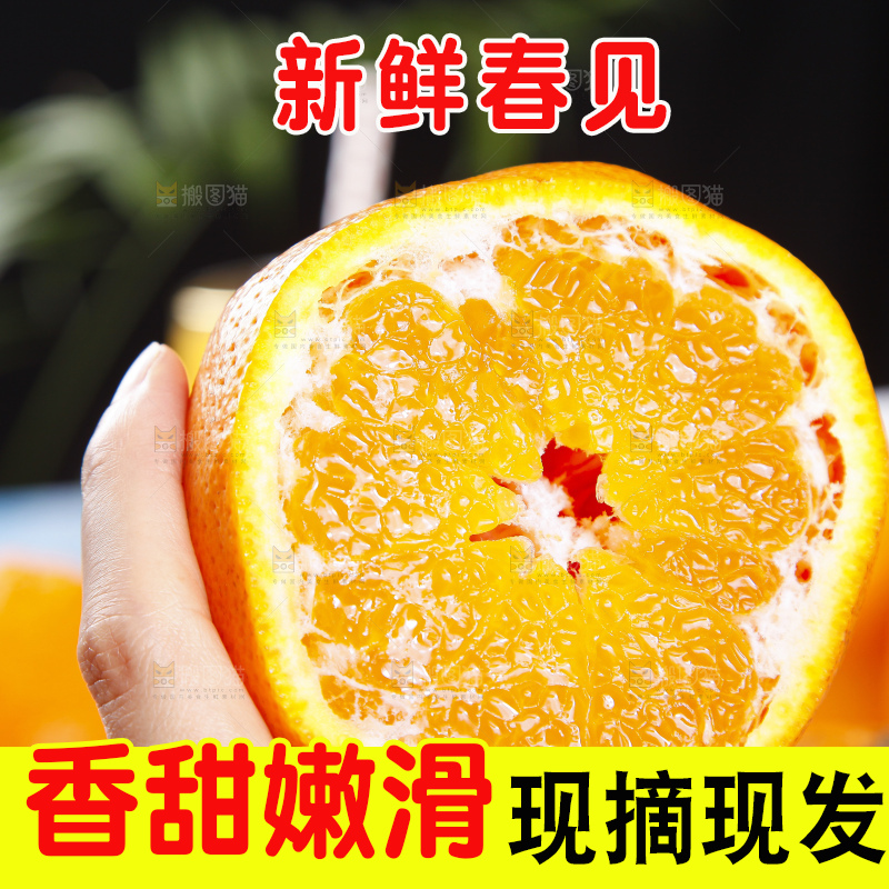 手里拿着四川春见耙耙柑