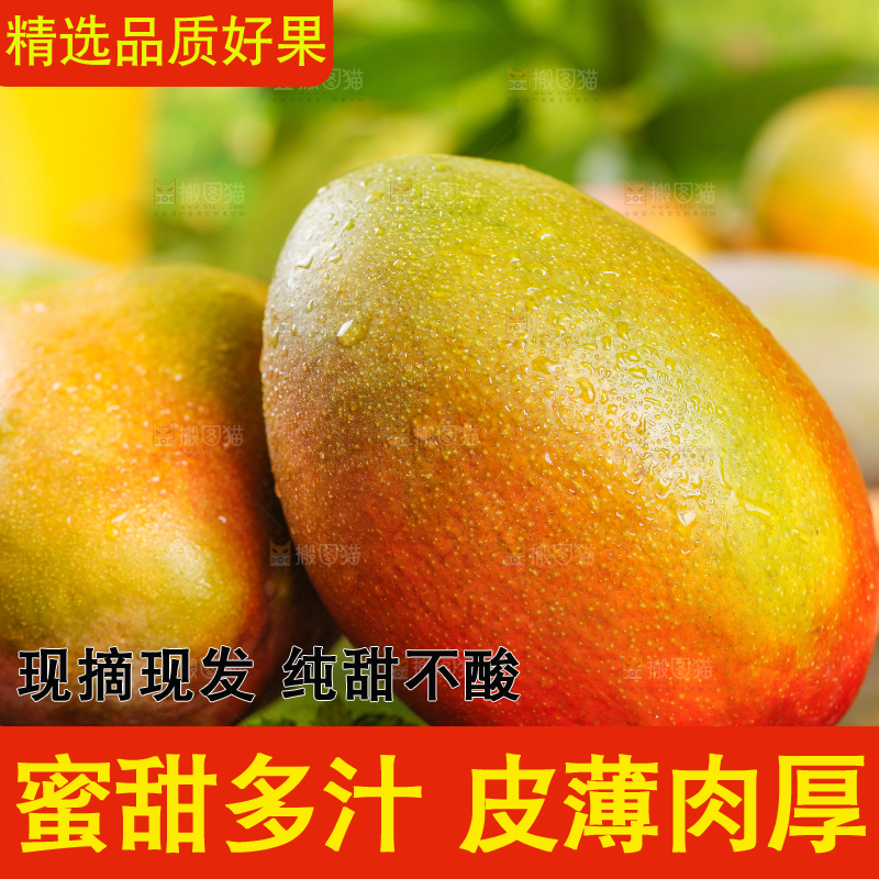 亮底上的苹果芒