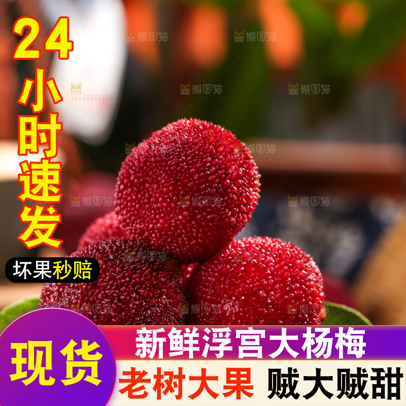 杨梅