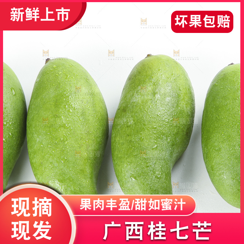 白底上的桂七香芒