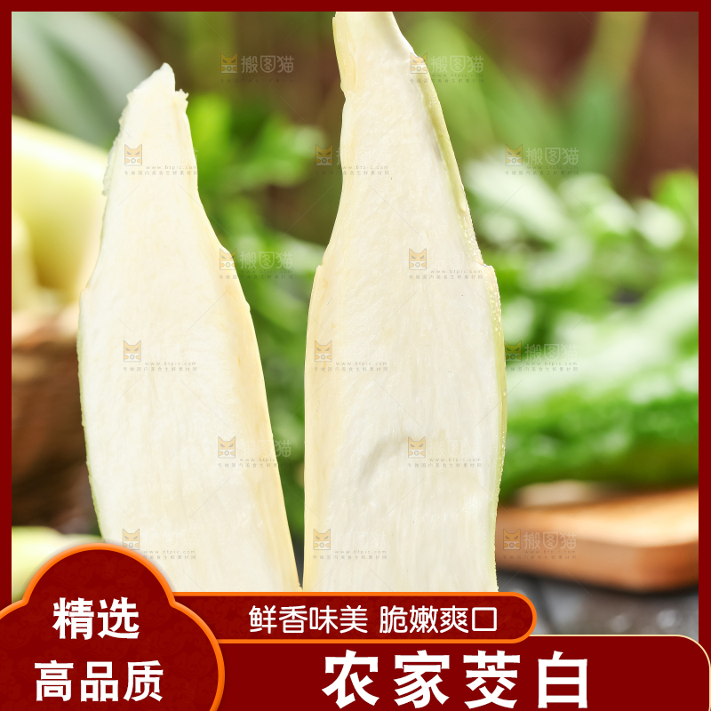 石板上的云南茭白