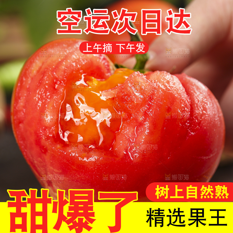 手里拿着大西红柿