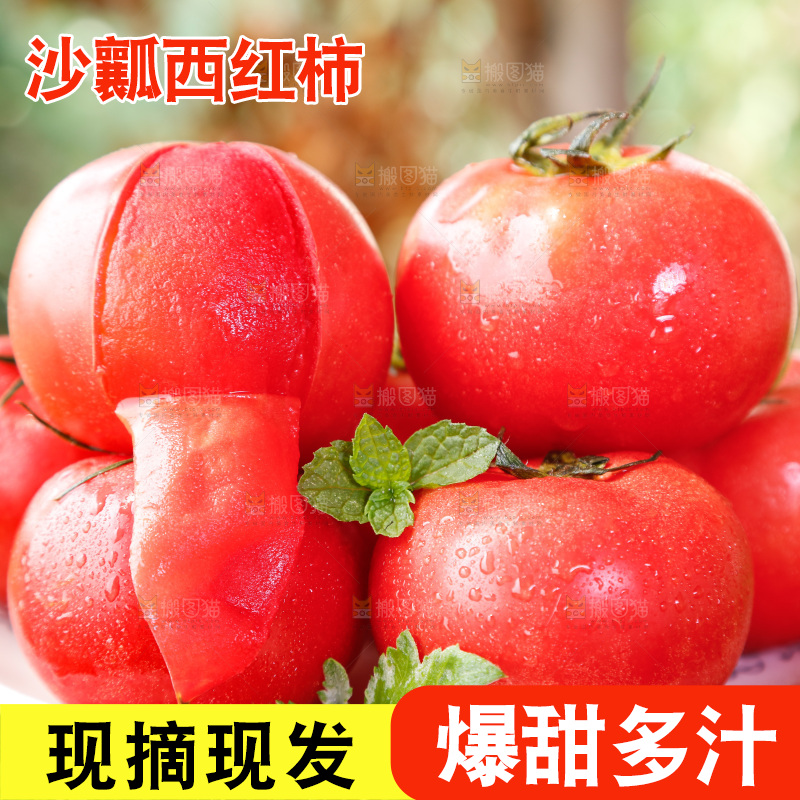 草地上的一堆新鲜西红柿