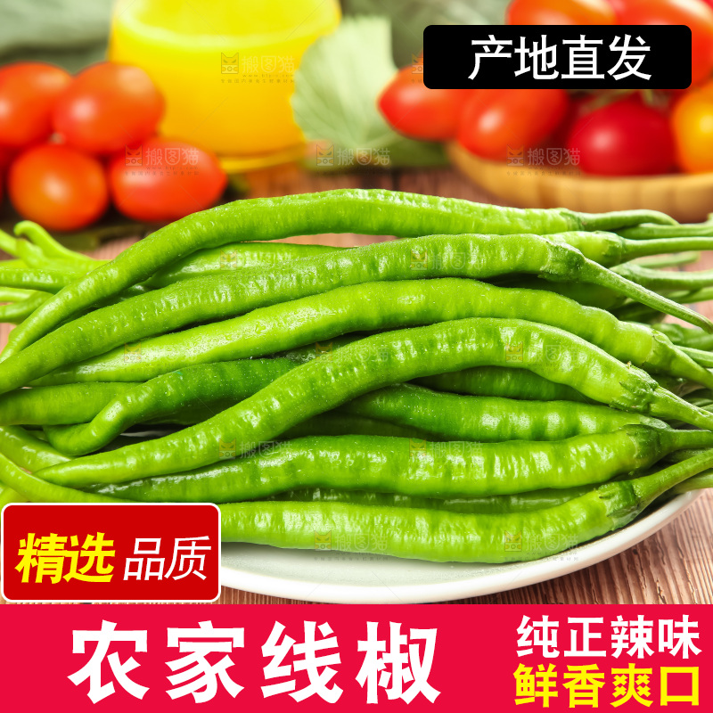盘子里装着一盘线椒