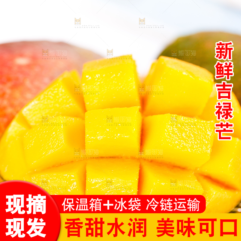 白底上放着吉禄芒