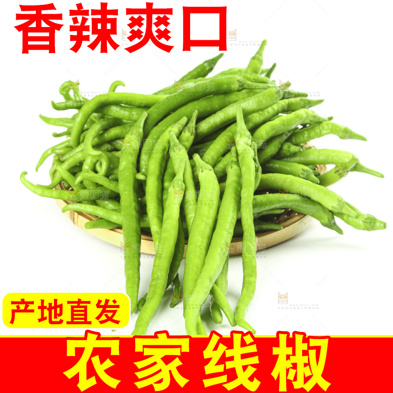 白底上的新鲜青辣椒