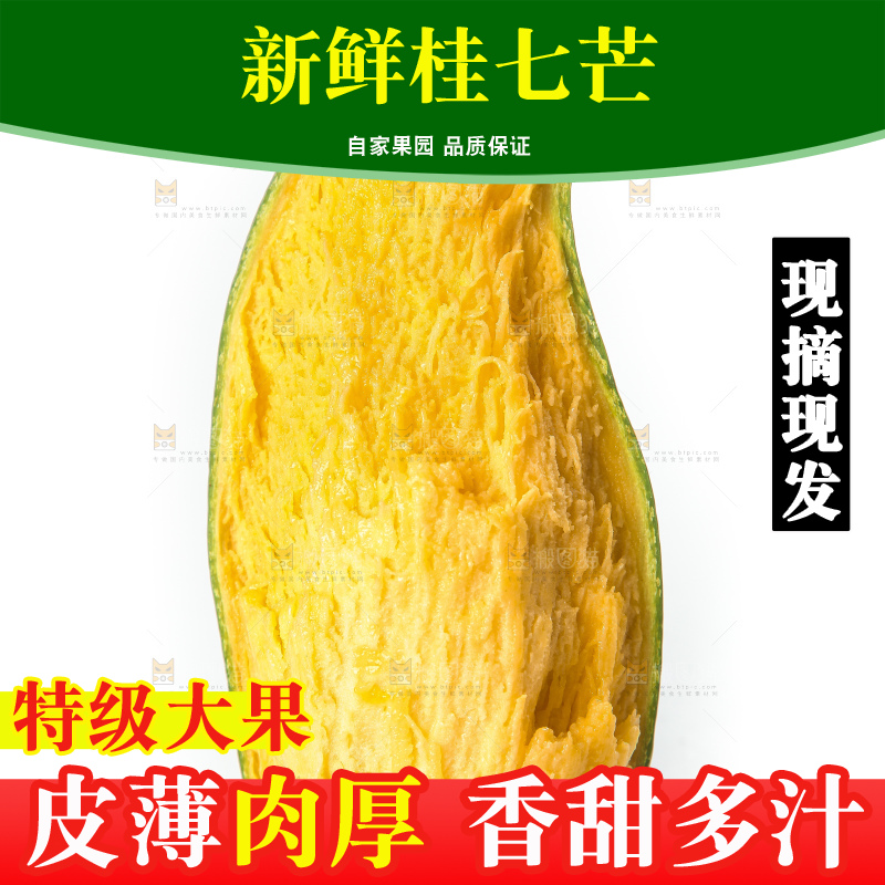 白底上的桂七香芒
