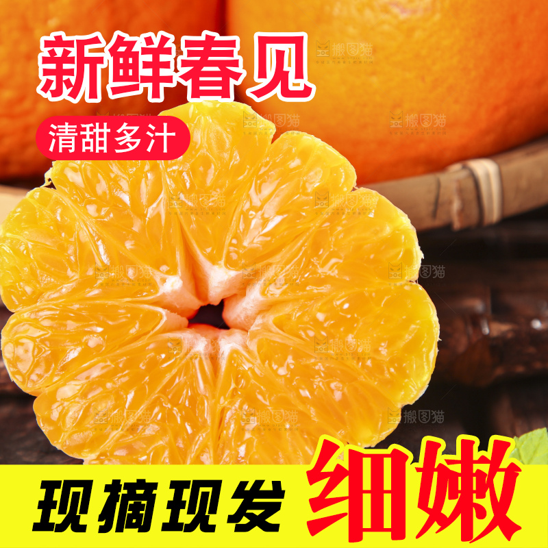 木板上的春见耙耙柑