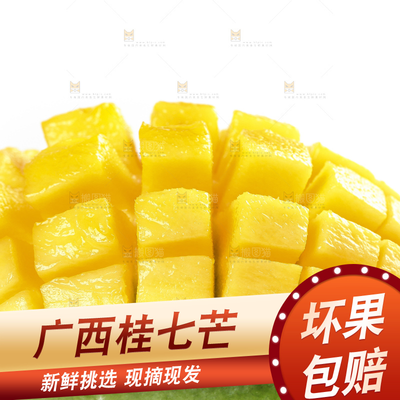 白底上的桂七香芒