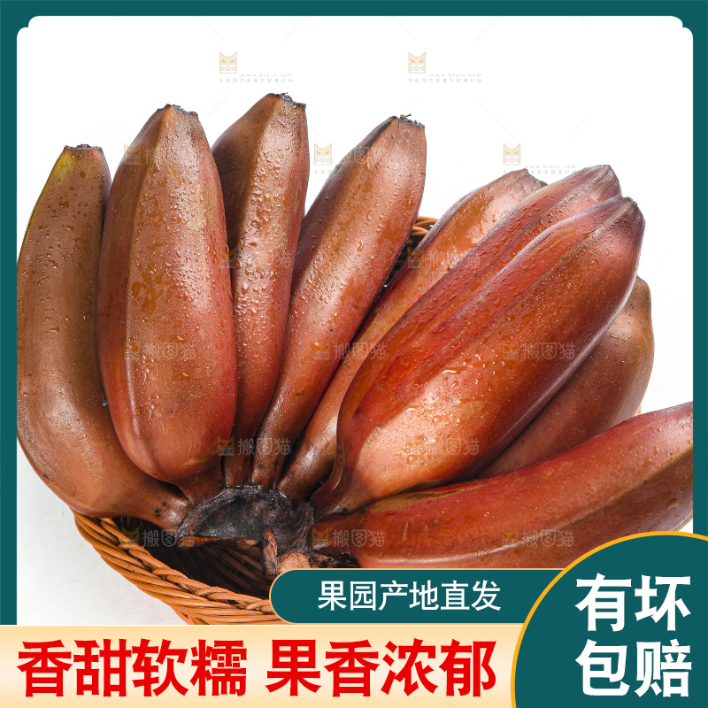 白底上的红皮美人蕉
