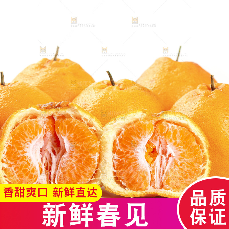 白底上放着一堆春见耙耙柑