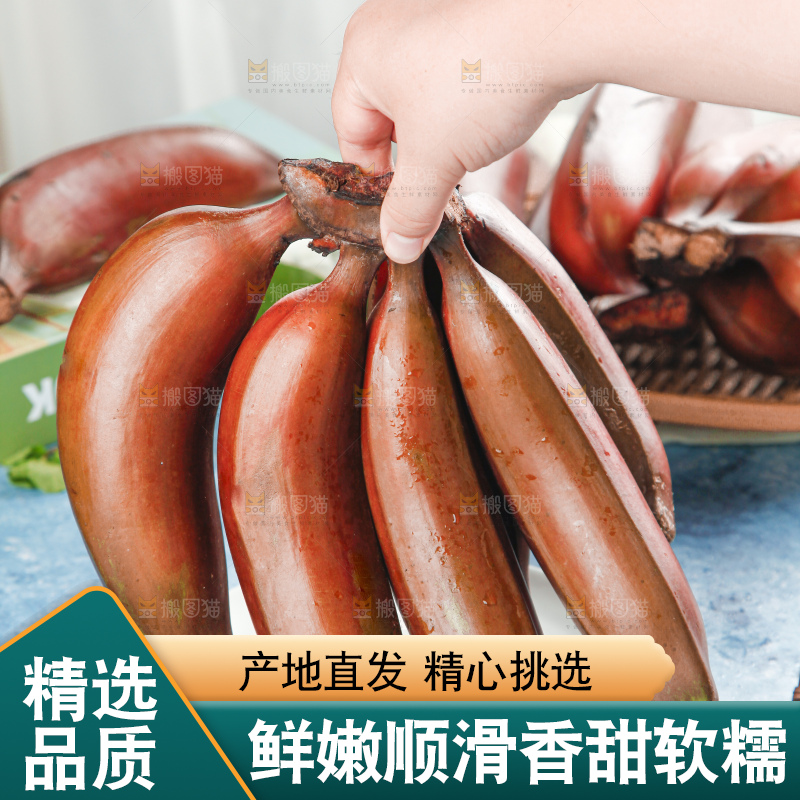 蓝底上摆放着红皮美人蕉
