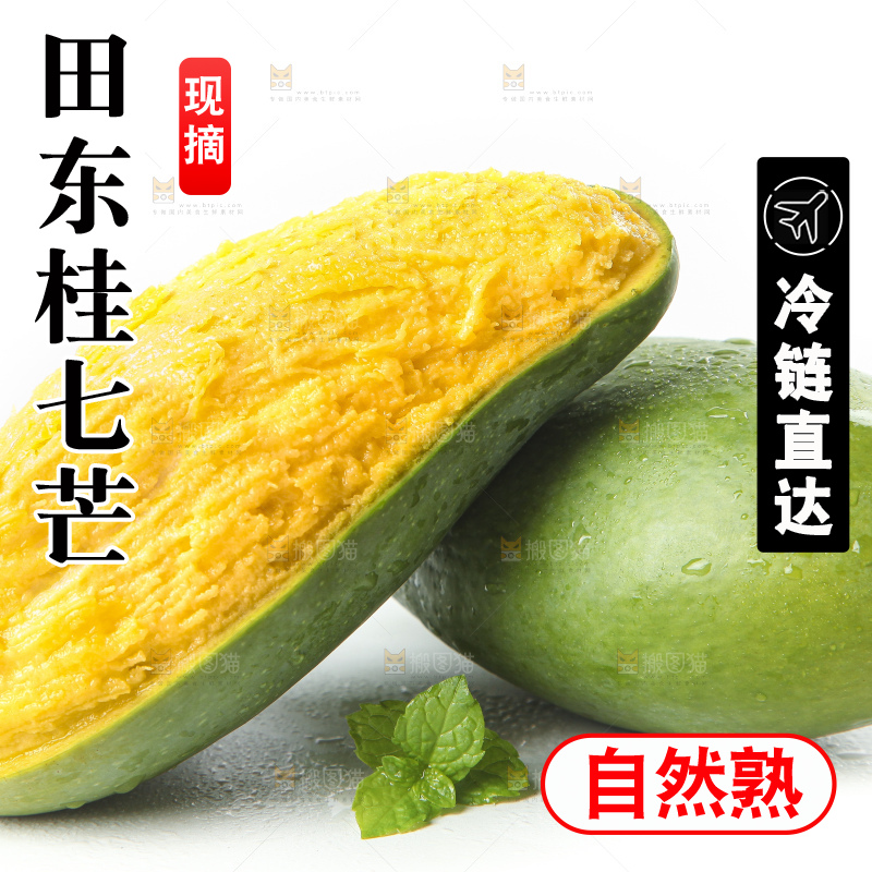 白底上放着青皮桂七芒