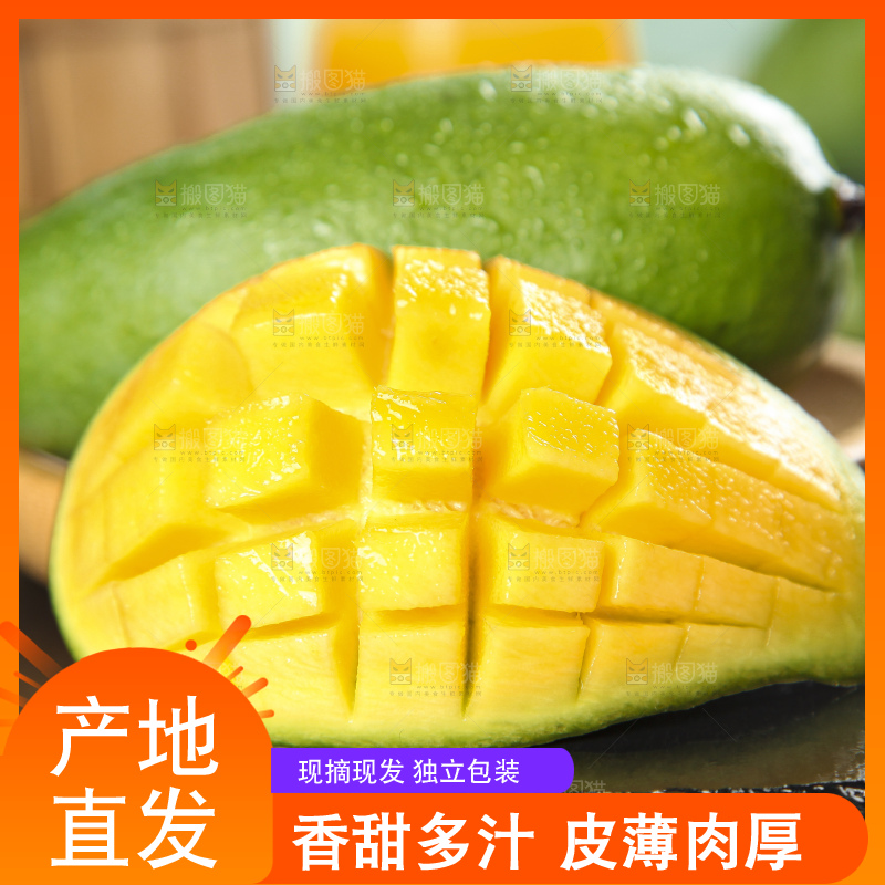 石板上的青皮桂七芒