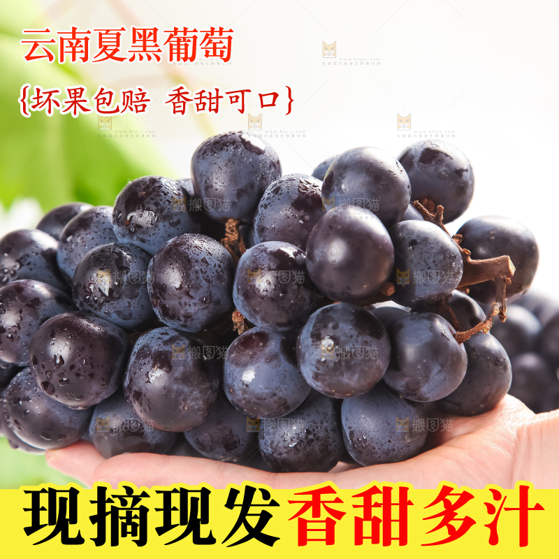 手里拿着新鲜葡萄