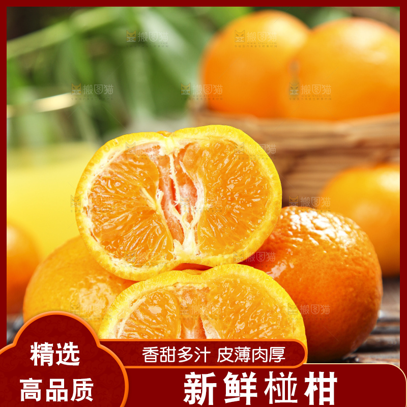 竹底上的永春芦柑