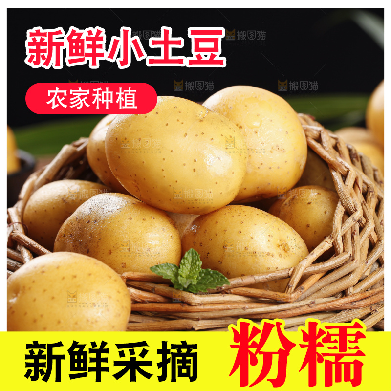 深底上的宜昌小土豆