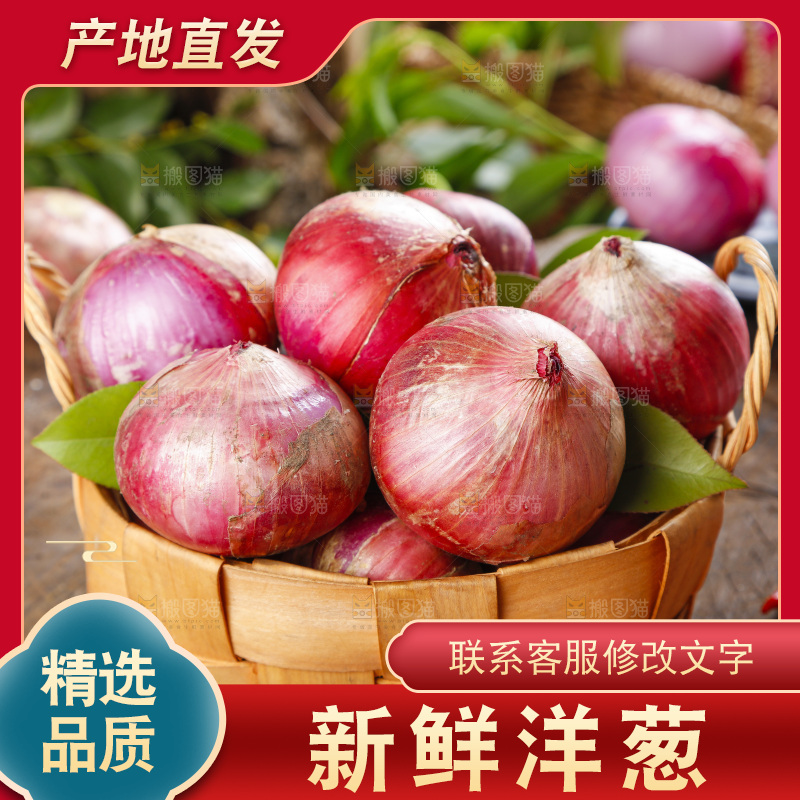 篮子里的新鲜洋葱