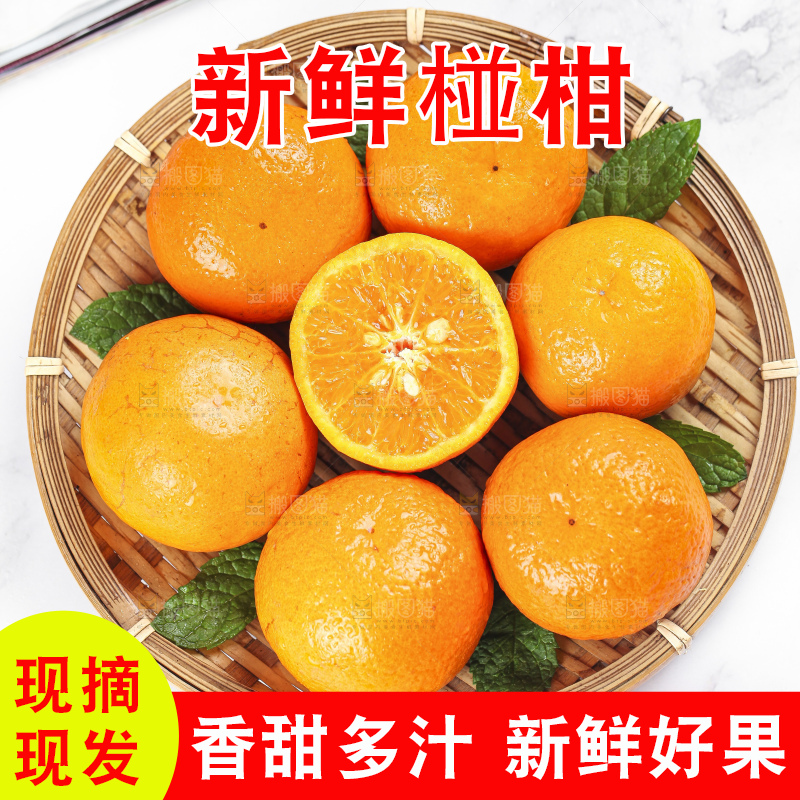 篮子里的福建永春芦柑
