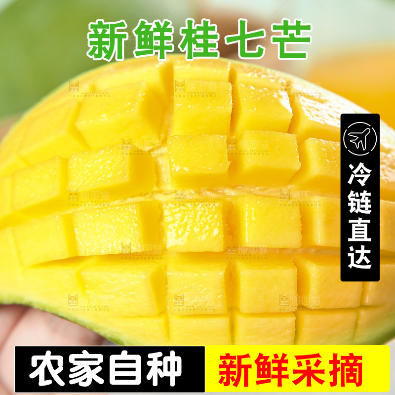 手上拿着新鲜桂七芒