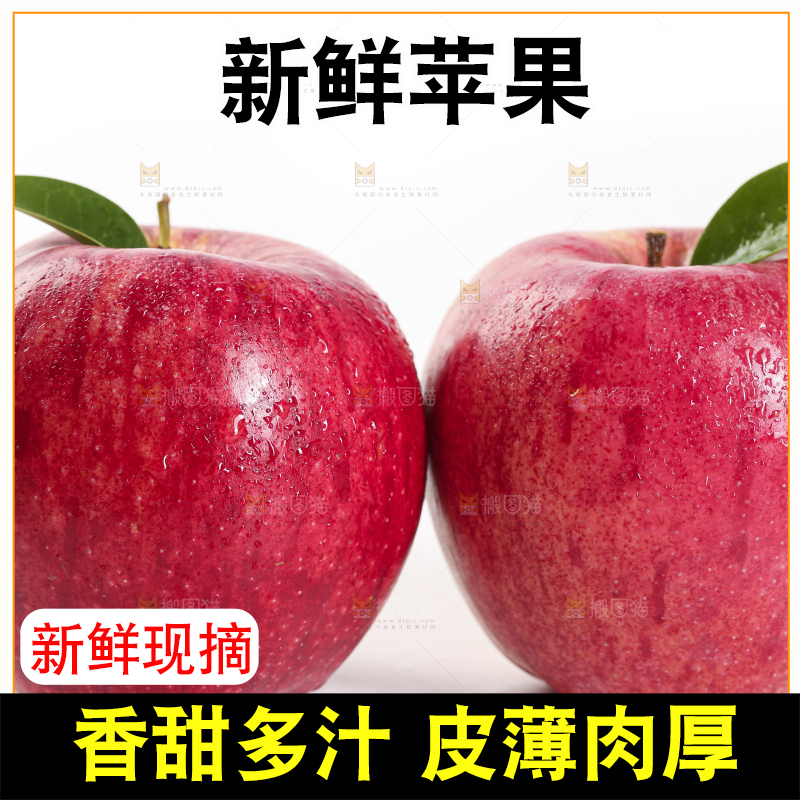 白底上的烟台红富士苹果