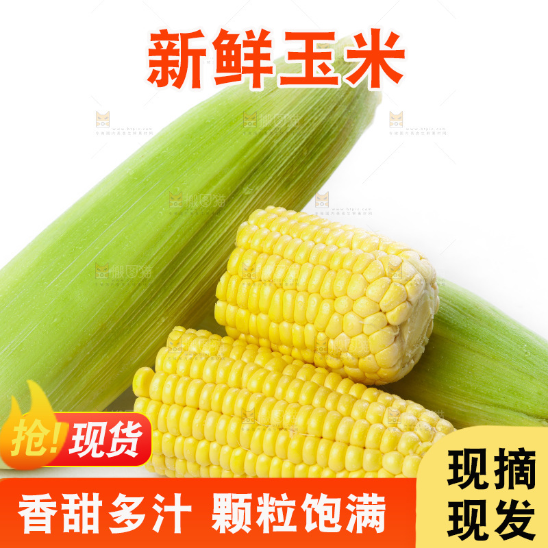白底上放着新鲜玉米