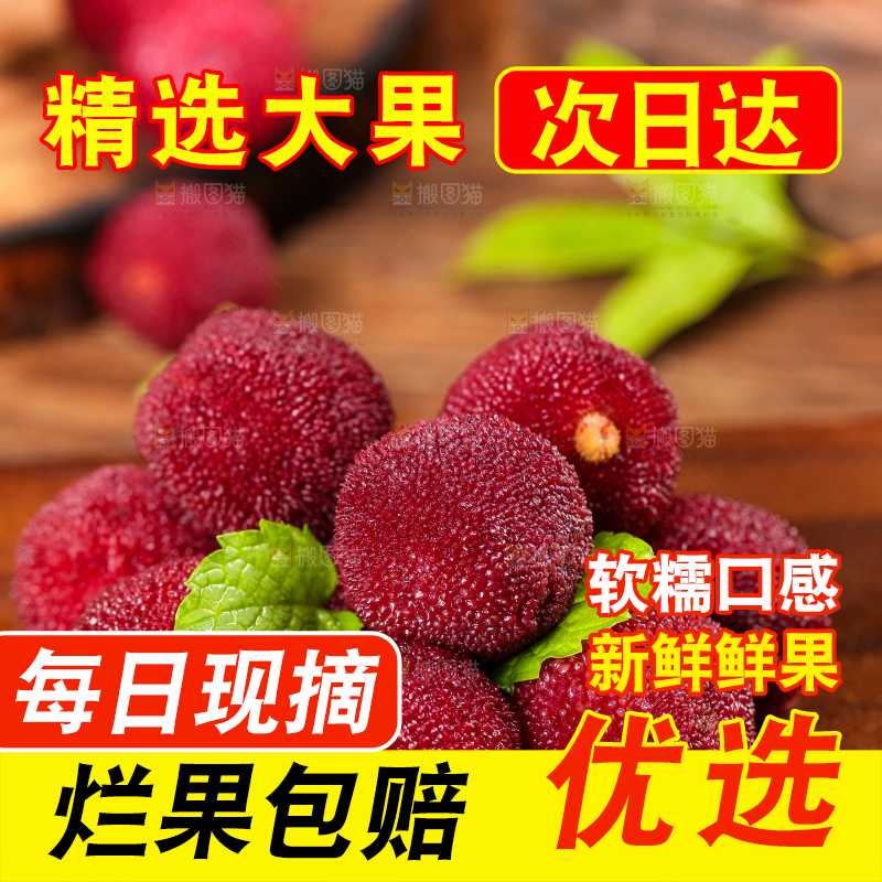 木板上的高山大杨梅