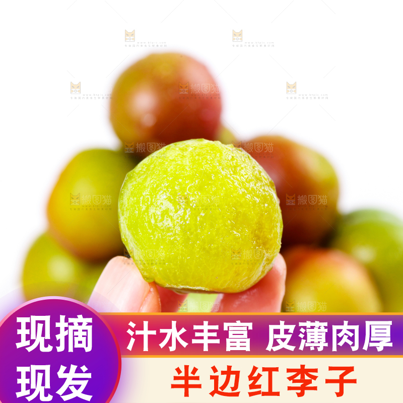 白底上的青红脆李
