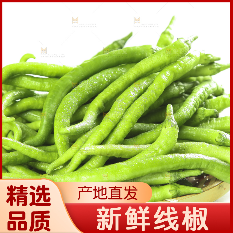 白底上的新鲜青辣椒