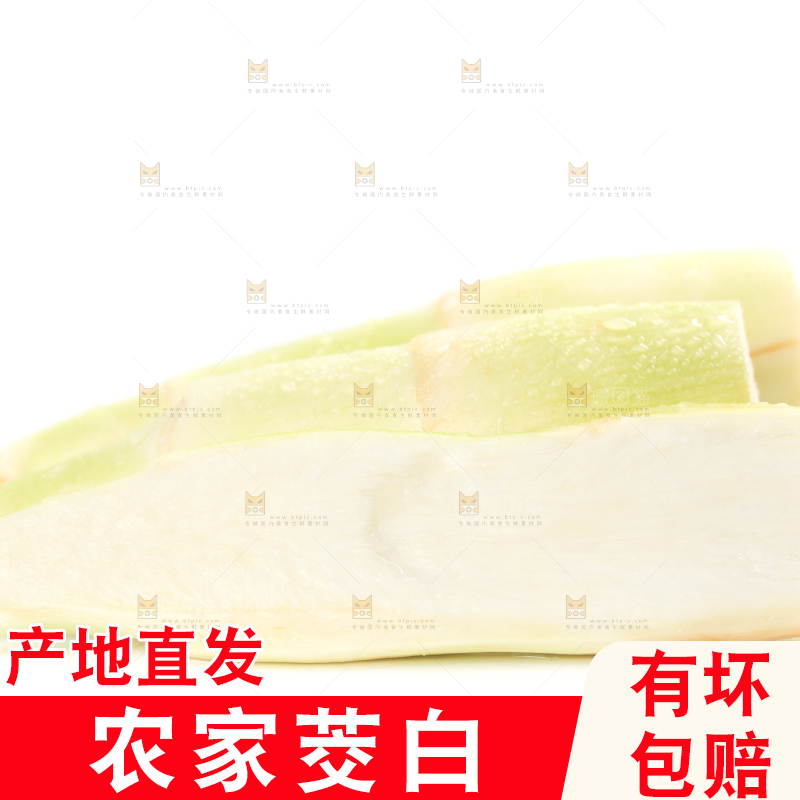 白底上的茭白