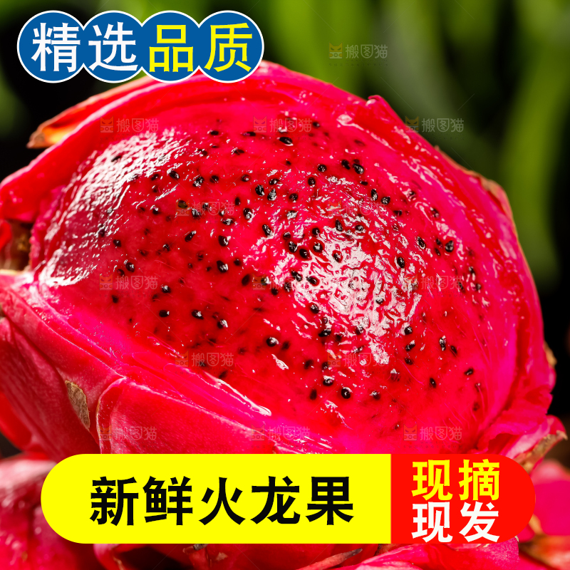 深底上的金都一号红心火龙果