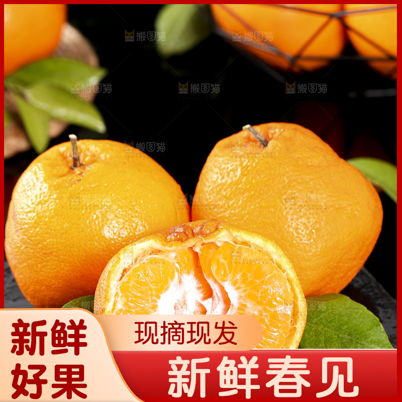 石板上摆放着四川春见耙耙柑