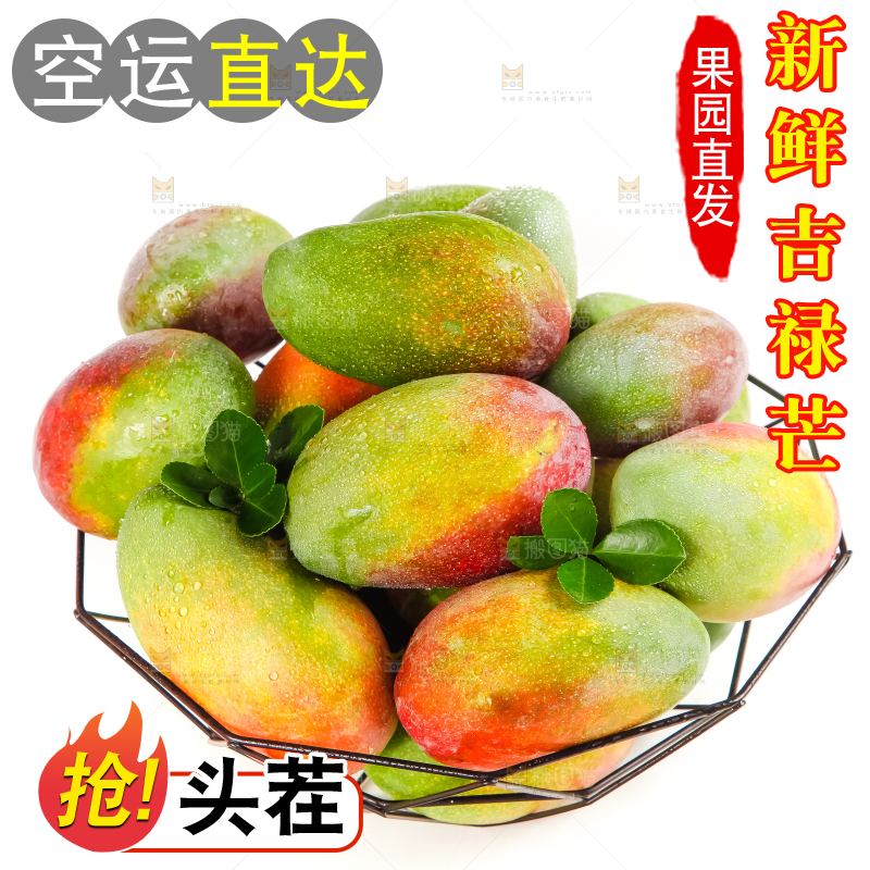 篮子里放着吉禄芒