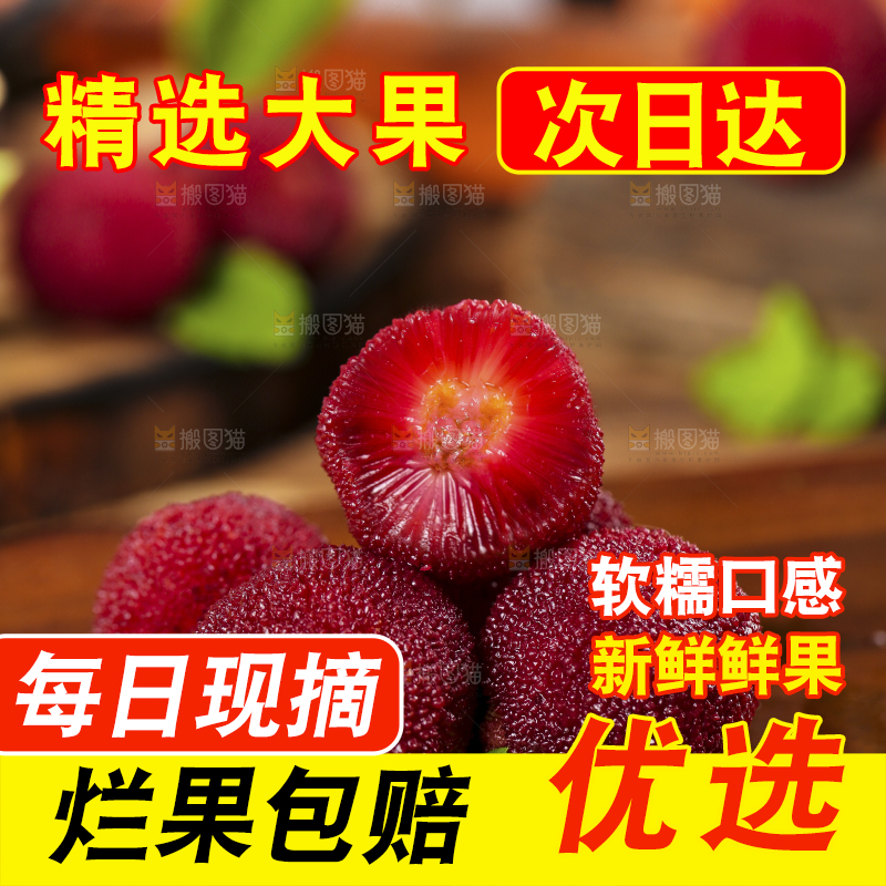 杨梅