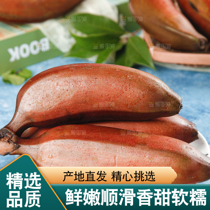 蓝底上摆放着红皮美人蕉