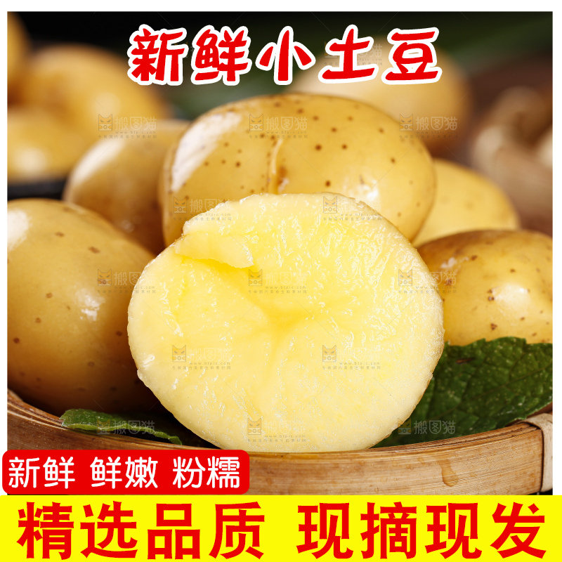 黑石板上摆放着黄心小土豆