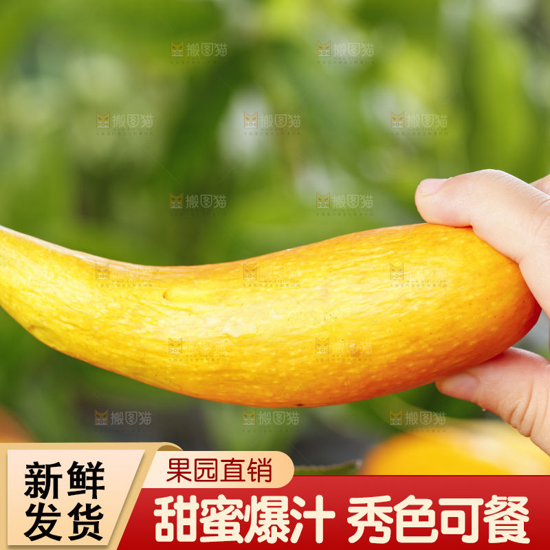 篮子里放着小芒果