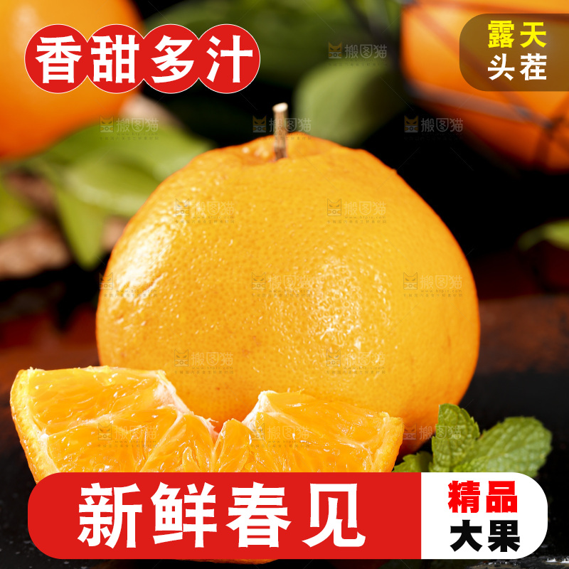 石板上摆放着四川春见耙耙柑