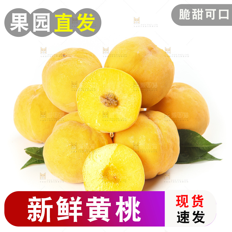 白底上的黄肉桃