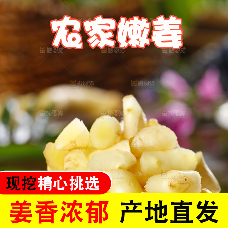 碗里装着嫩姜片