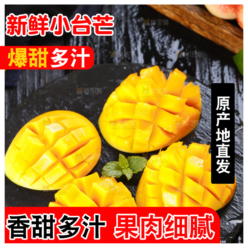 石板上的小香芒