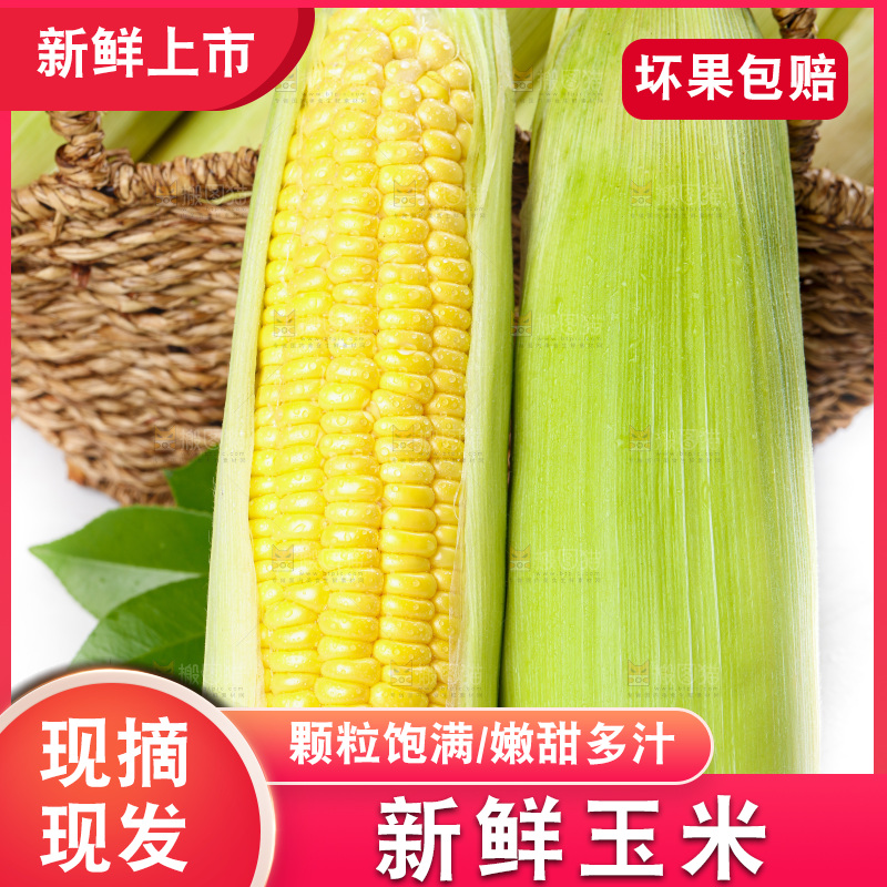 篮子子装着玉米棒