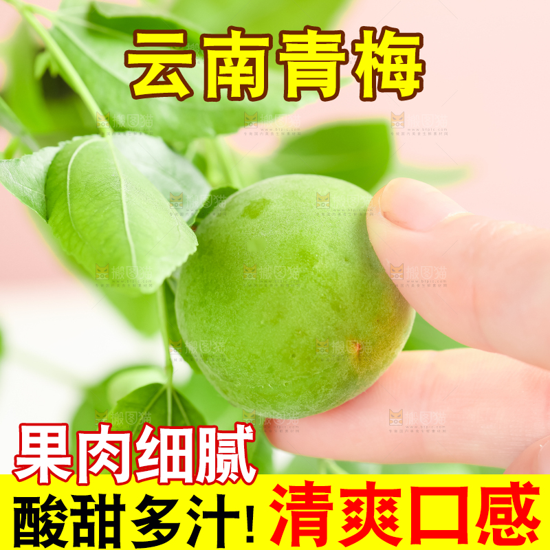 手上拿着新鲜青梅