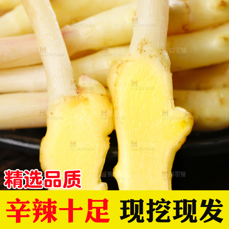 深底上的新鲜生姜