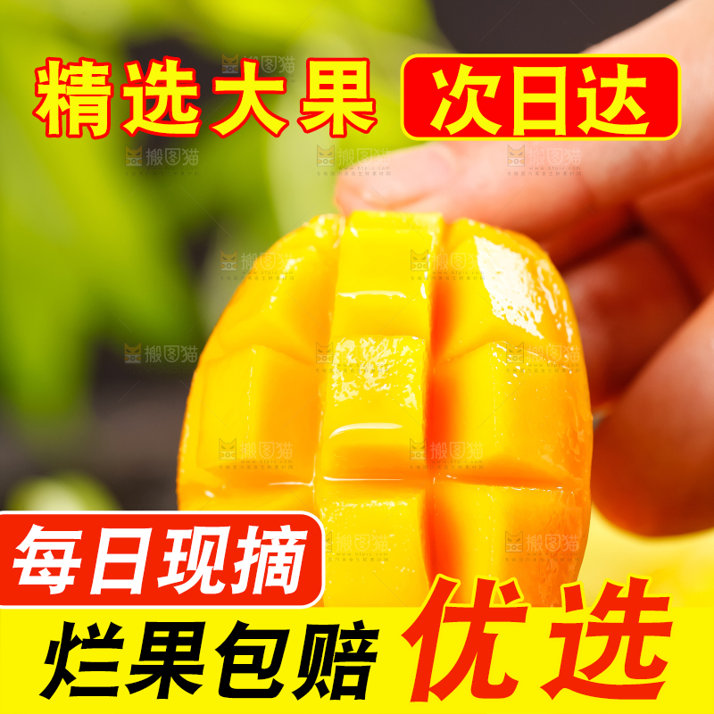 手上拿着海南台农芒果